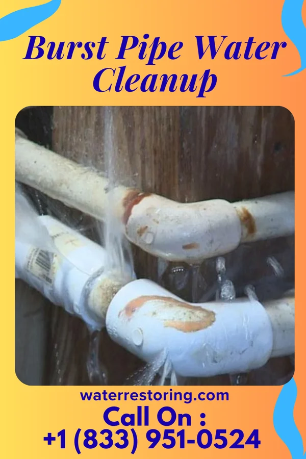 Burst Pipe Water Cleanup in New Centerville, PA