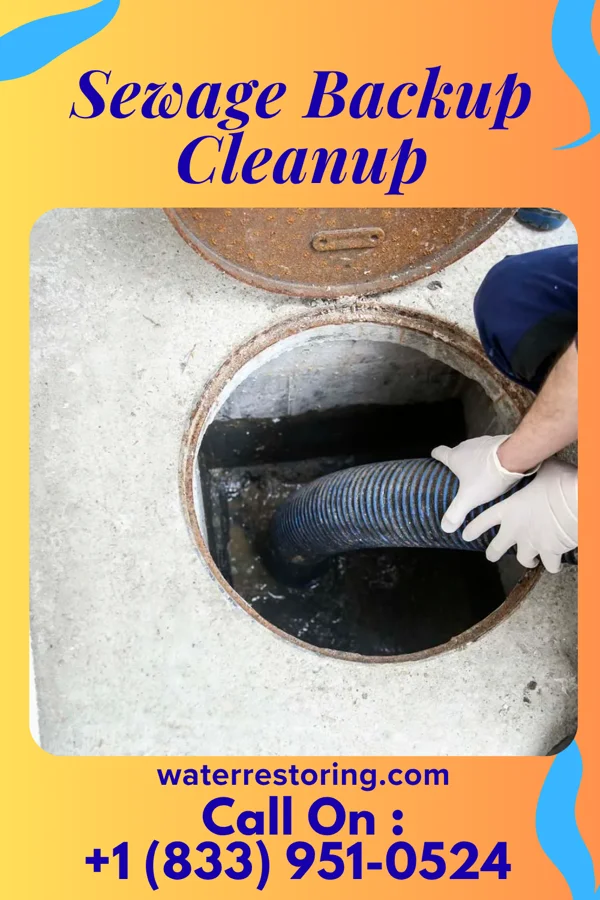 Sewage Backup Cleanup in New Centerville, PA