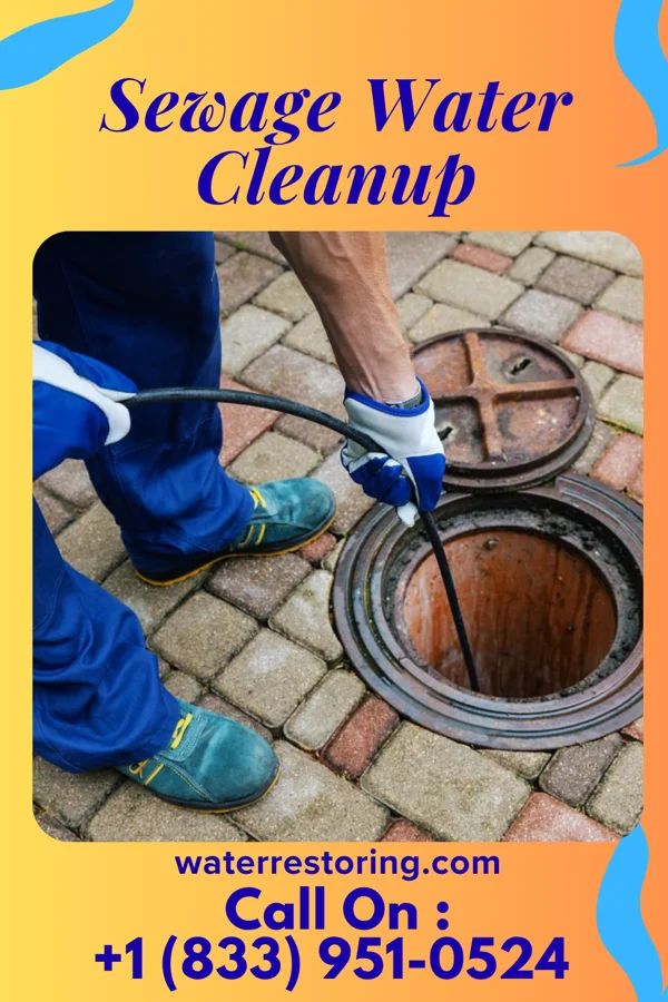 Sewage Water Cleanup in New Centerville, PA