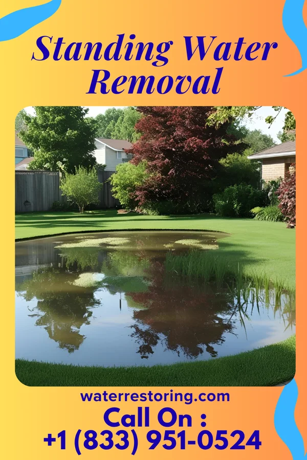 Standing Water Removal in New Centerville, PA